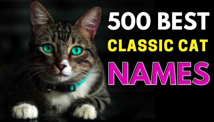 500 Classic Cat Names