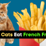 Can Cats Eat French Fries?