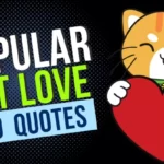 Cat Love Quotes for Instagram Captions